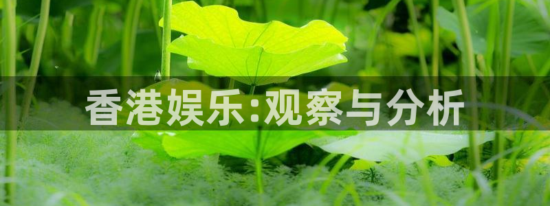 豪门国际所有网站