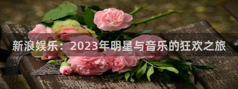 豪门国际平台
