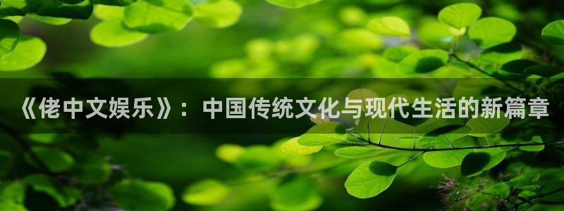 豪门国际下载