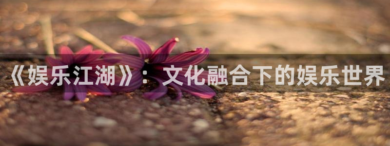豪门国际官网